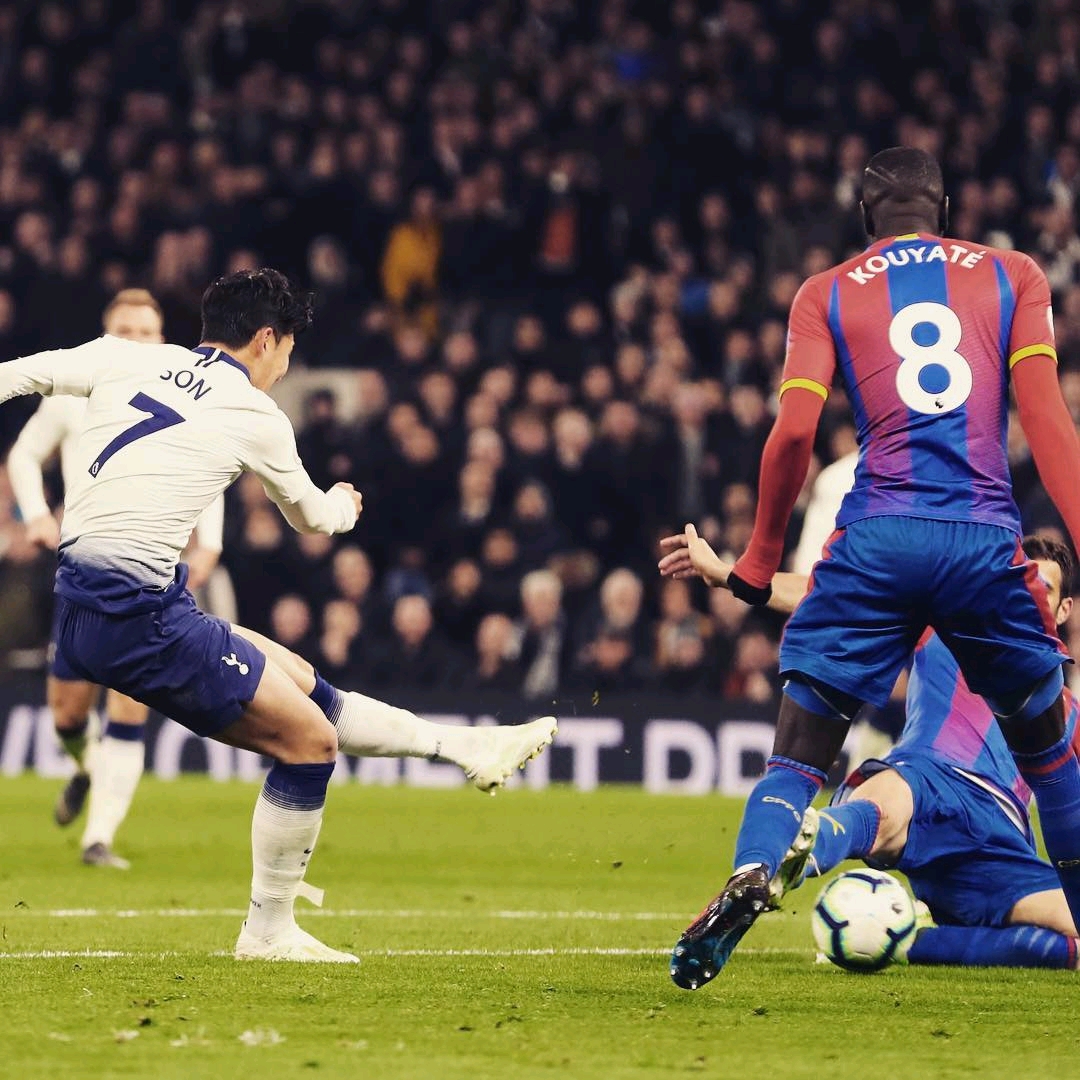 的滑雪水平 的滑雪水平